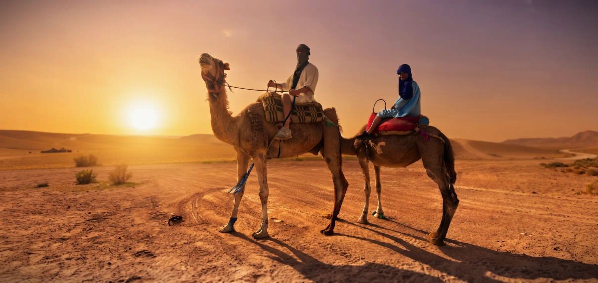 Camel ride across the Agafay desert at sunset