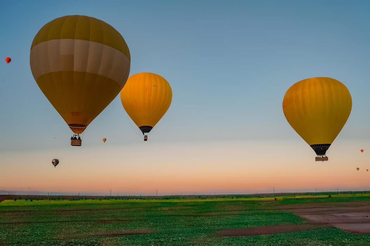 Hot-air balloons floating in the pastel dawn sky over the countryside
