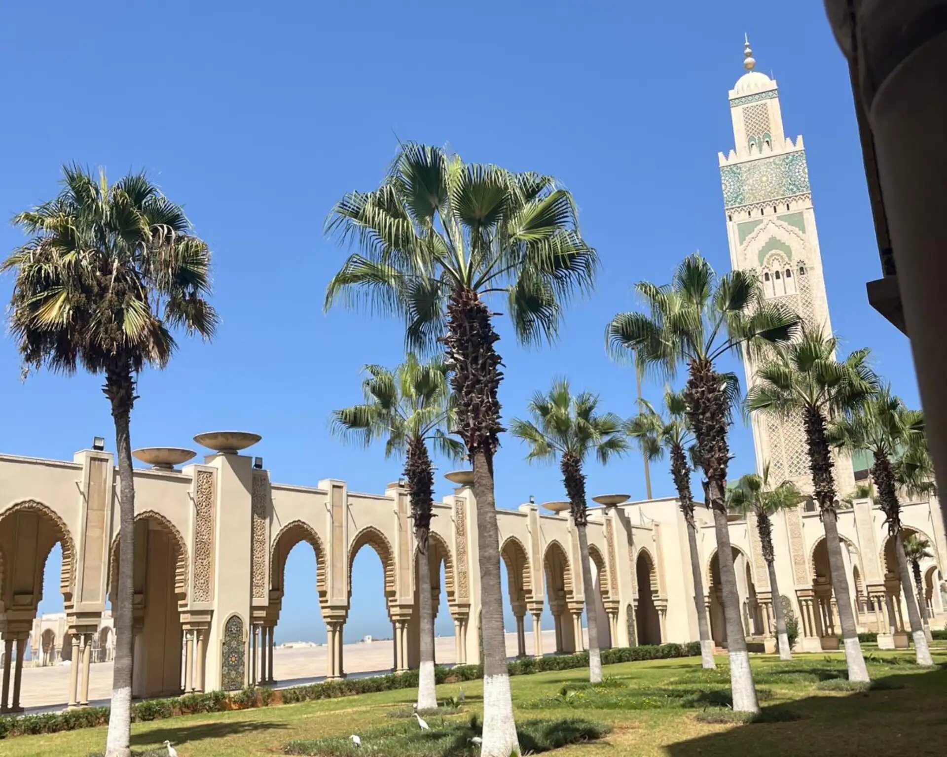 Palm trees and arcades in the courtyard of the Hassan II Mosque below the minaret