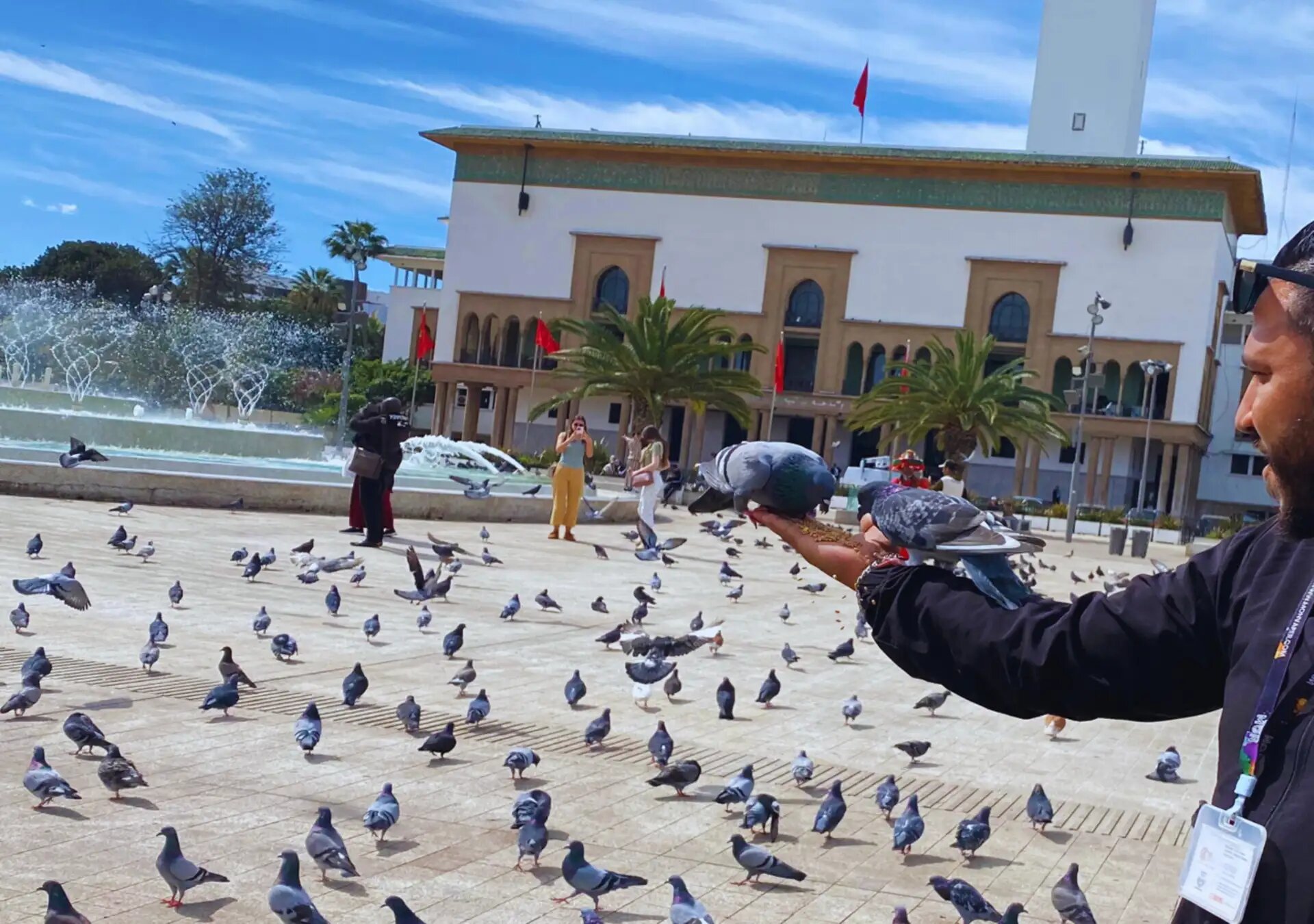 Pigeons on Mohammed V Square in front of a white administrative building in Casablanca