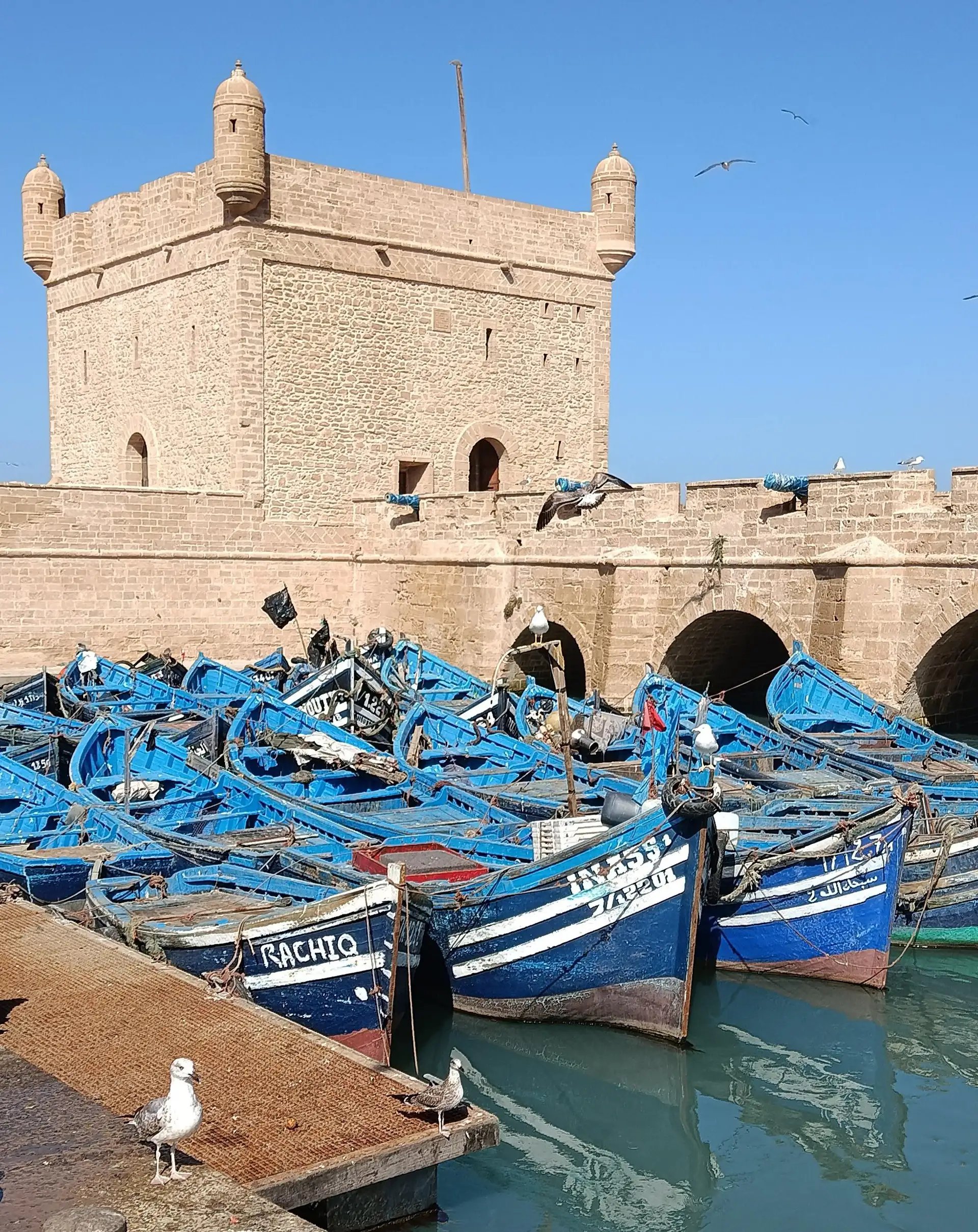 Traditional blue fishing boats moored below the Skala fortress in Essaouira port