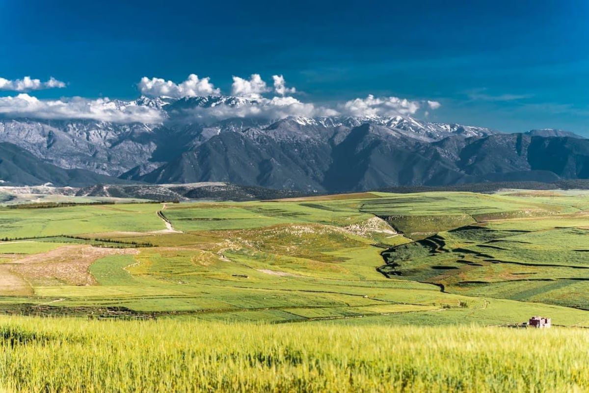 Green fields below the snow-capped Atlas Mountains near Aguergour